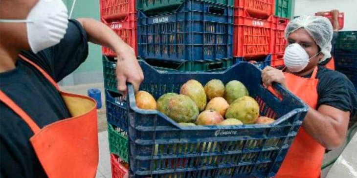 La agricultura aún sigue siendo de subsistencia